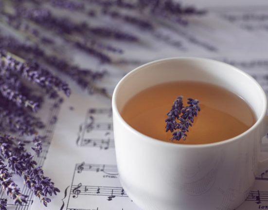 Čaj od lavande u trudnoći Bebe.hr portal