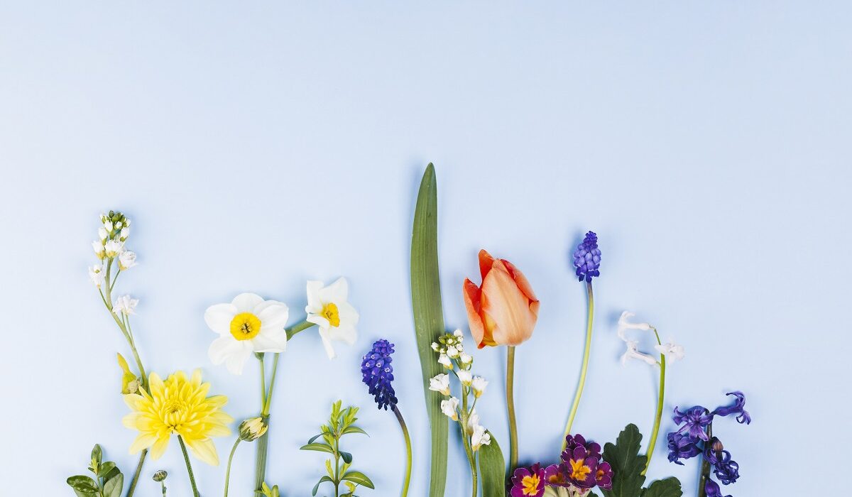 proljeće u hrvatskoj