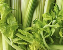 celer i njegove dobrobiti za zdravlje djece