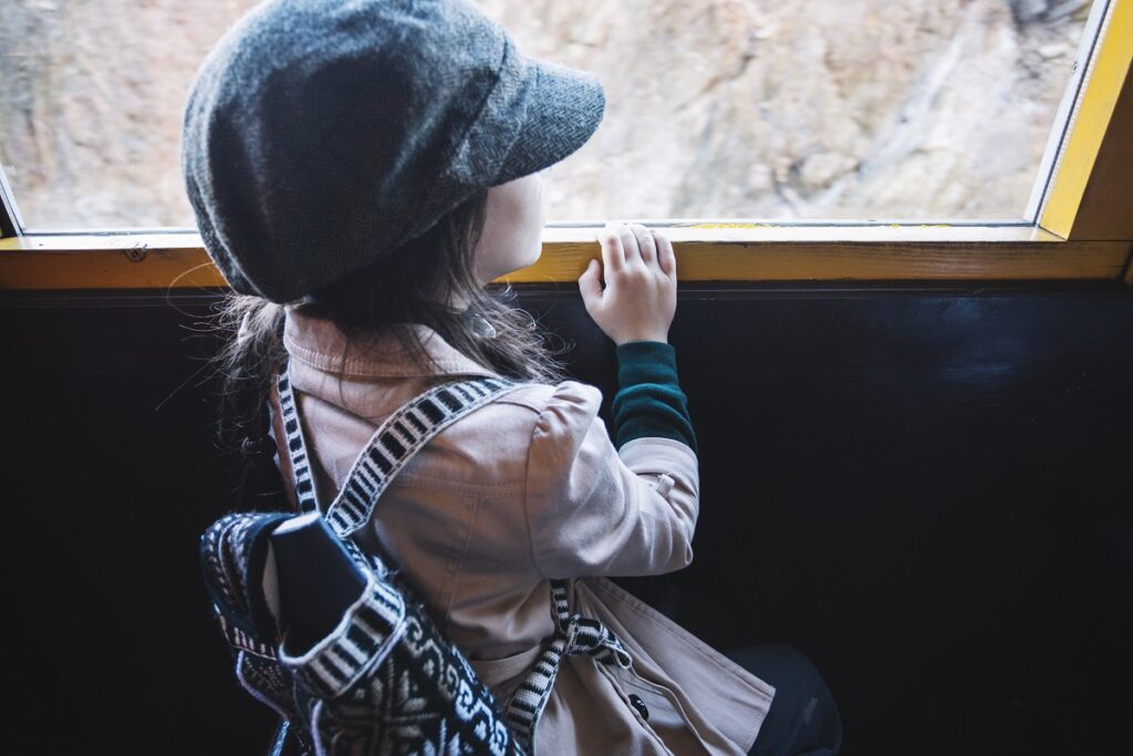 obiteljsko putovanje vlakom s djecom uživanje je za mališane koji upijaju krajoliki vesele se novim iskustvima