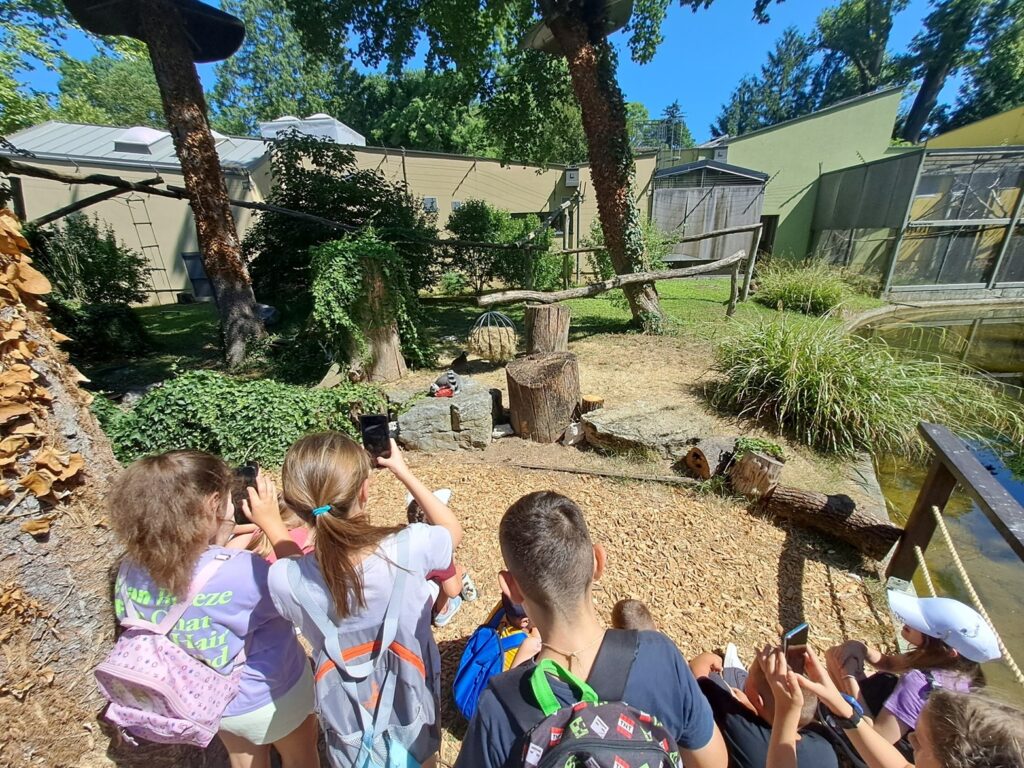 divlje ljeto u zoo zagreb