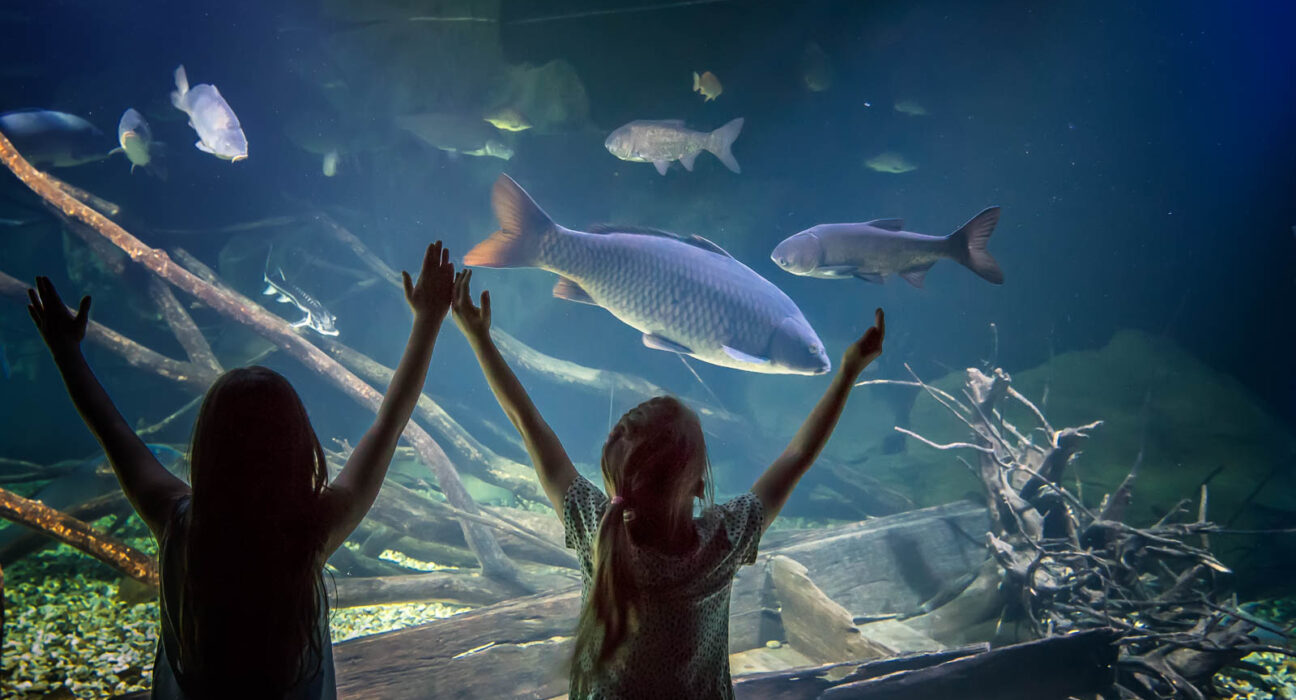 Djeca raširenih ruku ispre akvarija karlovačke Aquatike